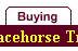 Buyers guide