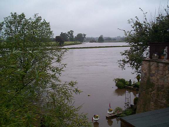 This was my garden